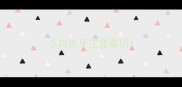 小狗换牙注意事项
