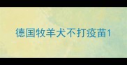 德国牧羊犬不打疫苗