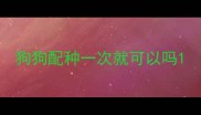 狗狗配种一次就可以吗