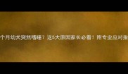 5个月幼犬突然嗜睡这5大原因家长必看附专业应对指南