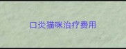 口炎猫咪治疗费用