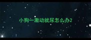 小狗一激动就尿怎么办