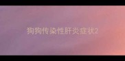 狗狗传染性肝炎症状