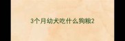 3个月幼犬吃什么狗粮