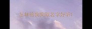 怎样给狗狗取名字好听