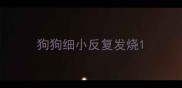 狗狗细小反复发烧