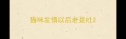 猫咪发情以后老是吐