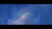 美短猫与拉布拉多