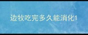 边牧吃完多久能消化