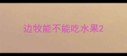 边牧能不能吃水果
