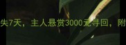 XX市最新寻狗启事哈士奇走失7天主人悬赏3000元寻回附安全养宠指南附寻回地图
