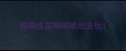 狗狗疫苗期间能出去玩