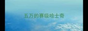 五万的赛级哈士奇