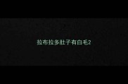 拉布拉多肚子有白毛