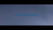 两个月狗狗叫溜达