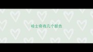 哈士奇有几个颜色