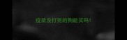 疫苗没打完的狗能买吗