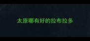太原哪有好的拉布拉多
