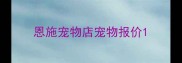 恩施宠物店宠物报价