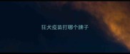 狂犬疫苗打哪个牌子