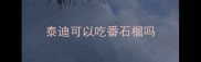泰迪可以吃番石榴吗