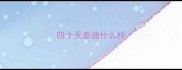 四十天泰迪什么样