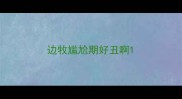 边牧尴尬期好丑啊