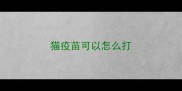 猫疫苗可以怎么打