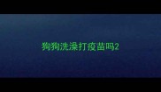 狗狗洗澡打疫苗吗