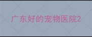 广东好的宠物医院