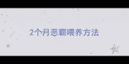 2个月恶霸喂养方法