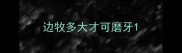 边牧多大才可磨牙
