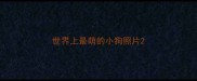 世界上最萌的小狗照片