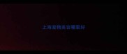 上海宠物美容哪里好