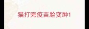 猫打完疫苗脸变肿