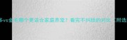 拉布拉多vs金毛哪个更适合家庭养宠看完不纠结的对比附选购指南