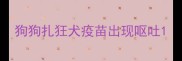 狗狗扎狂犬疫苗出现呕吐