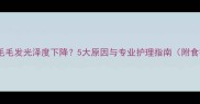 金毛犬掉毛毛发光泽度下降5大原因与专业护理指南附食疗方案