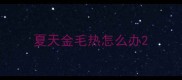 夏天金毛热怎么办