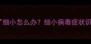 狗狗接种疫苗后得了细小怎么办细小病毒症状识别与专业救治指南