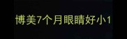 博美7个月眼睛好小