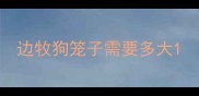 边牧狗笼子需要多大