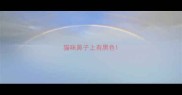 猫咪鼻子上有黑色