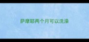 萨摩耶两个月可以洗澡