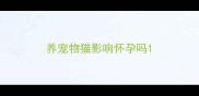 养宠物猫影响怀孕吗