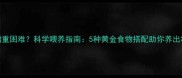 幼猫增重困难科学喂养指南5种黄金食物搭配助你养出壮壮猫