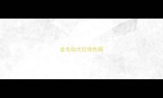 金毛幼犬拉绿色稀