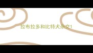 拉布拉多和比特犬杂交