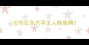 拉布拉多犬学主人断胳膊