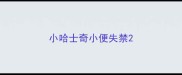 小哈士奇小便失禁